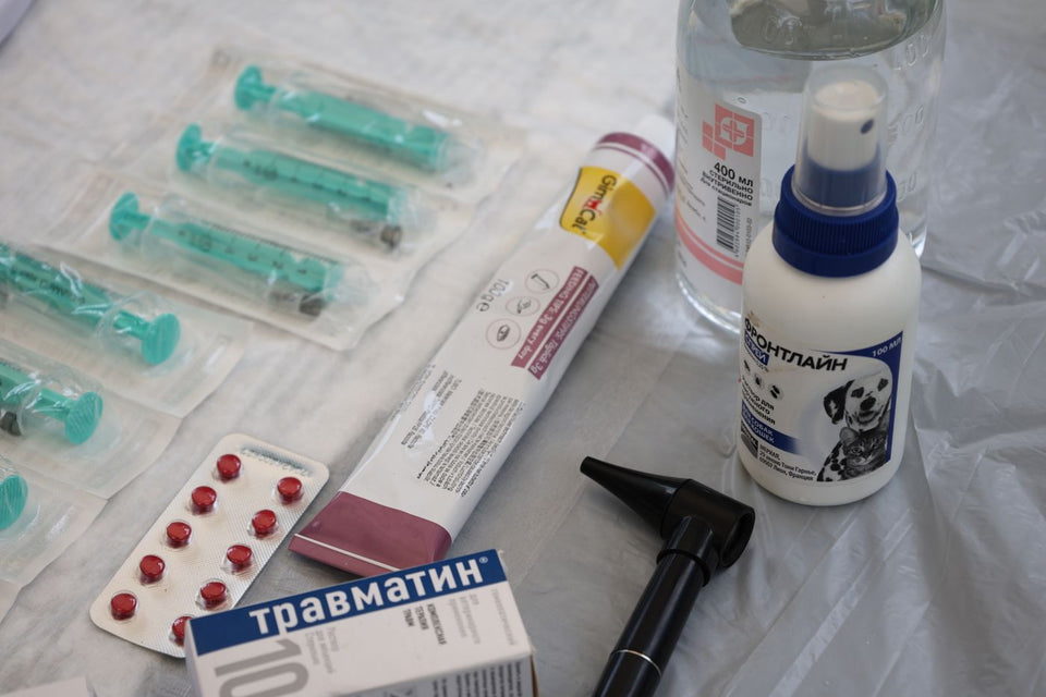 Organized veterinary medicine supplies for a pet medication log