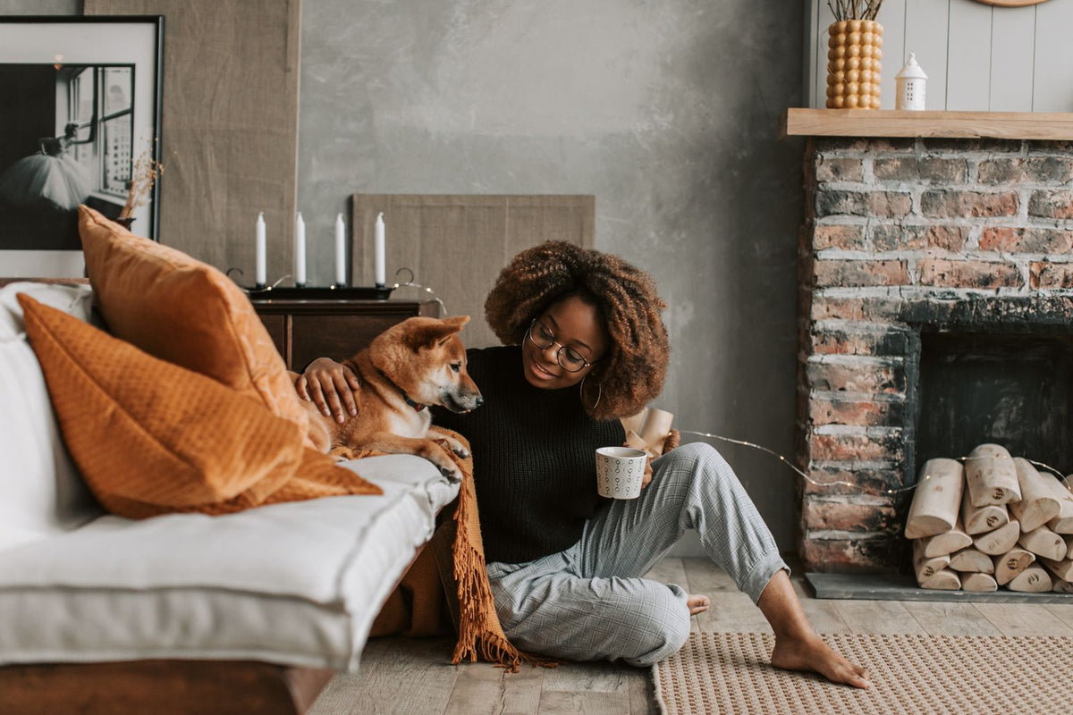 Woman petting a Shiba Inu dog on the floor of a comfortable home