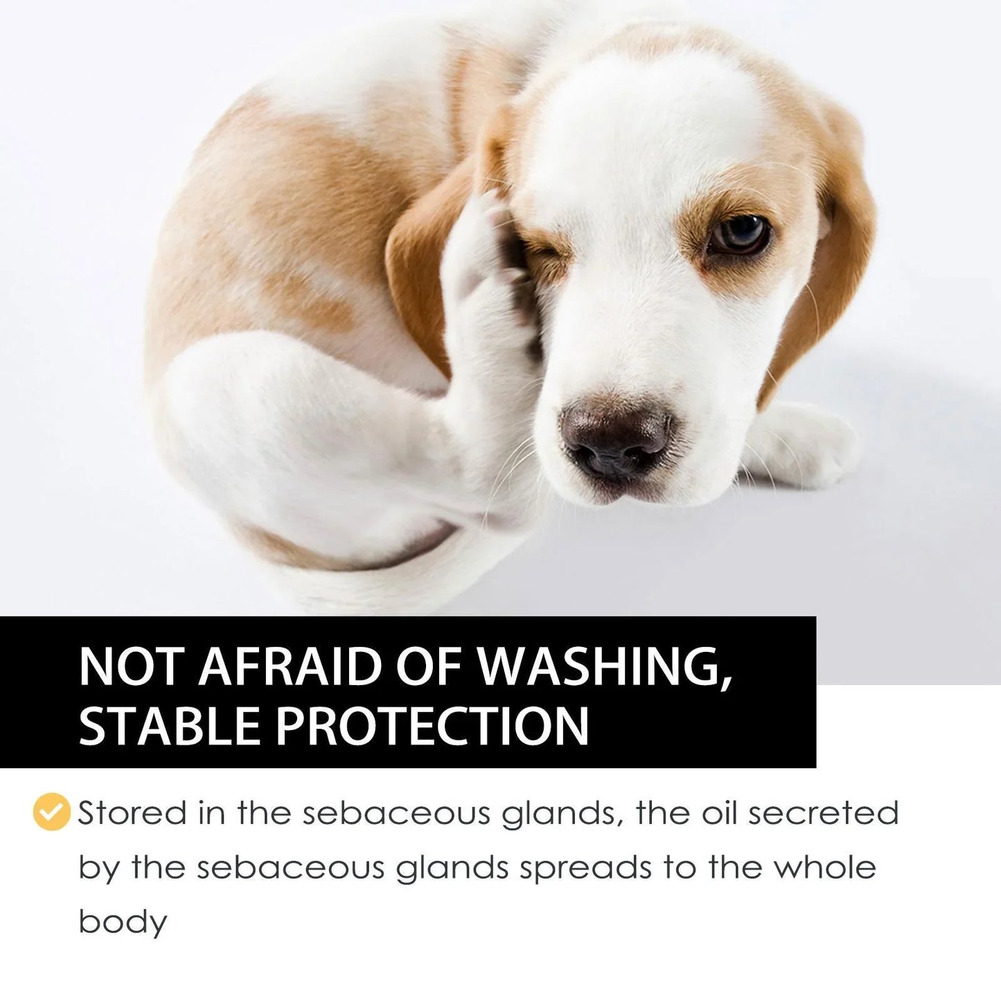 Pet Flea & Tick Drops for Cats & Dogs - External Deworming Spot-On Treatment