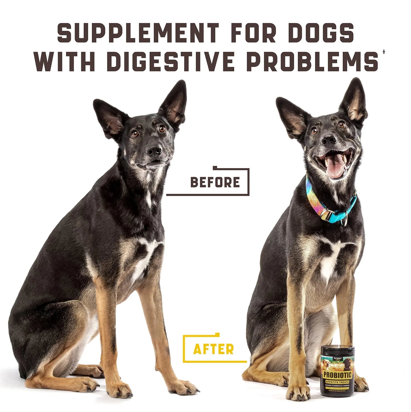 Probiotics for Dogs - 180 Duck Flavor Chews for Gut Health, Itchy Skin & Allergies