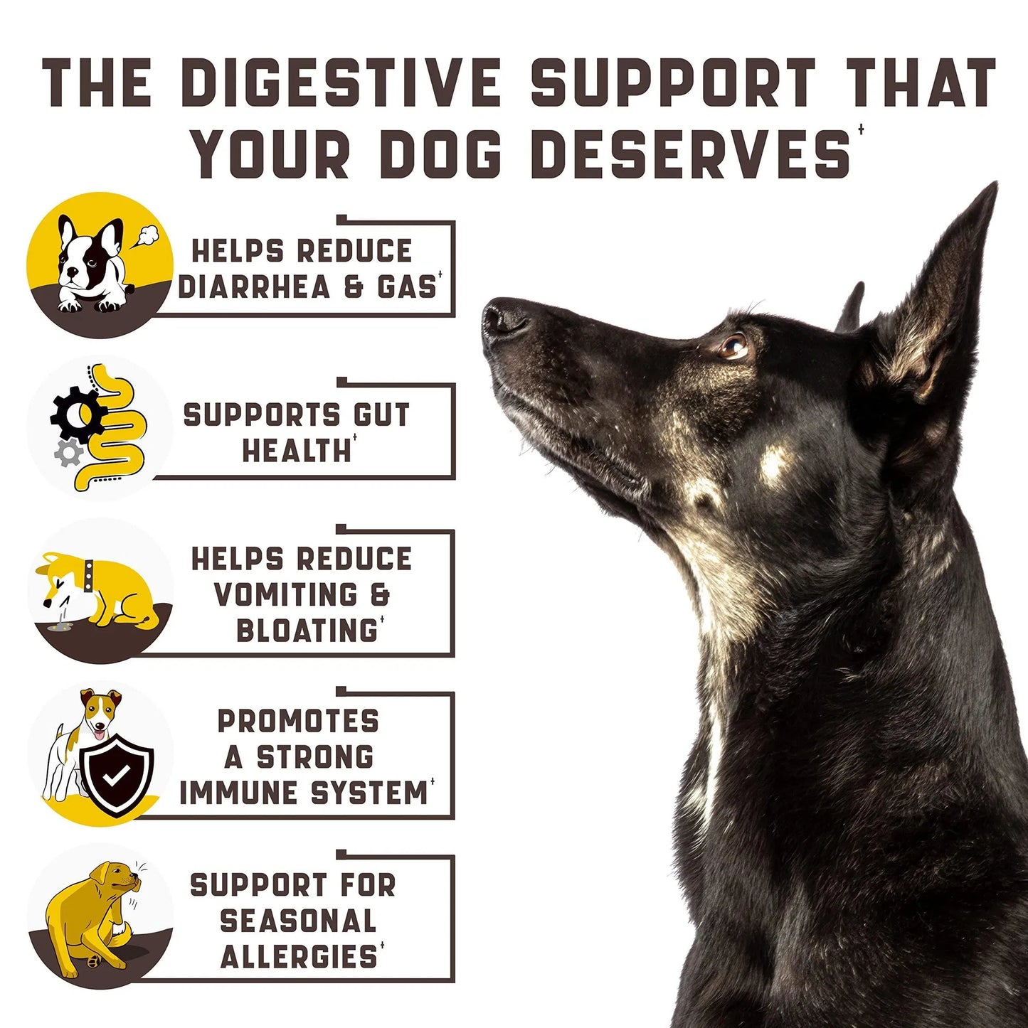 Probiotics for Dogs - 180 Duck Flavor Chews for Gut Health, Itchy Skin & Allergies