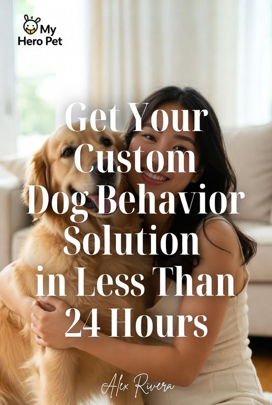 1-on-1 Dog Behavior Advice | Fix Issues Like Barking, Anxiety, or Potty Training
