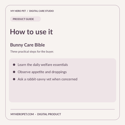 How to use Bunny Care Bible: practical steps