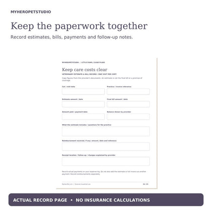 Cat Care Budget Planner vet expense invoice and payment tracking page