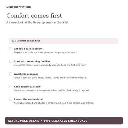 Cat Grooming Planner five-step gentle handling checklist page