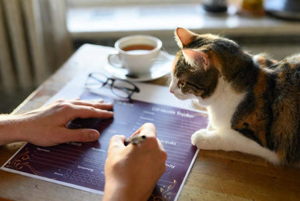 Example printable cat behavior and mood observation tracker with a cat beside the worksheet