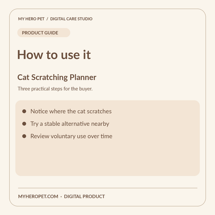 How to use Cat Scratching Planner: practical buyer instructions