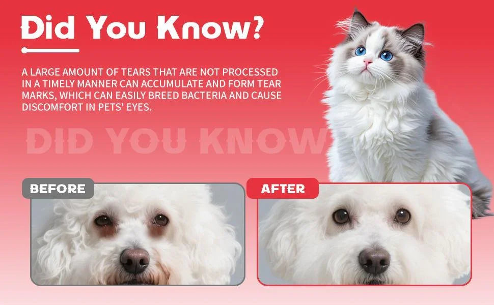 Pet Tear Stain Removal Powder - Natural Gentle Formula for Bright Eyes & Clean Fur