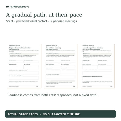 New Cat Introduction Planner gentle stages: scent exchange and supervised meetings