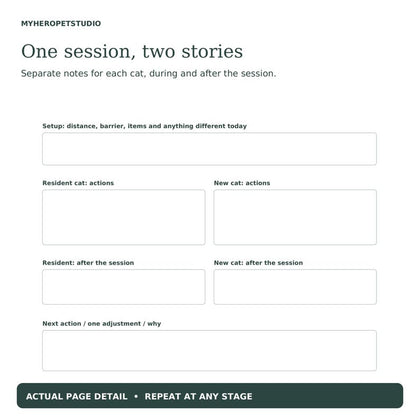 New Cat Introduction Planner two-cat session log with separate observations