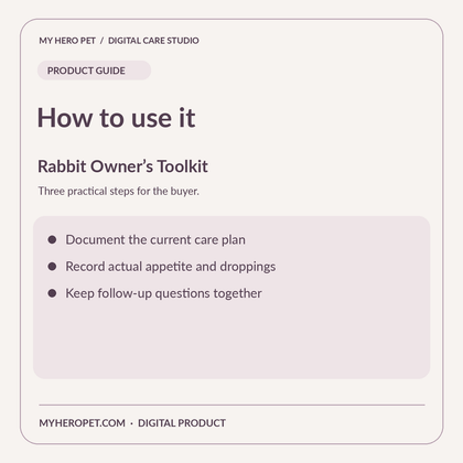How to use Rabbit Owner’s Toolkit: practical steps
