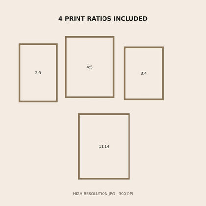 Ragdoll Cat Wall Art available digital JPG aspect ratio guide