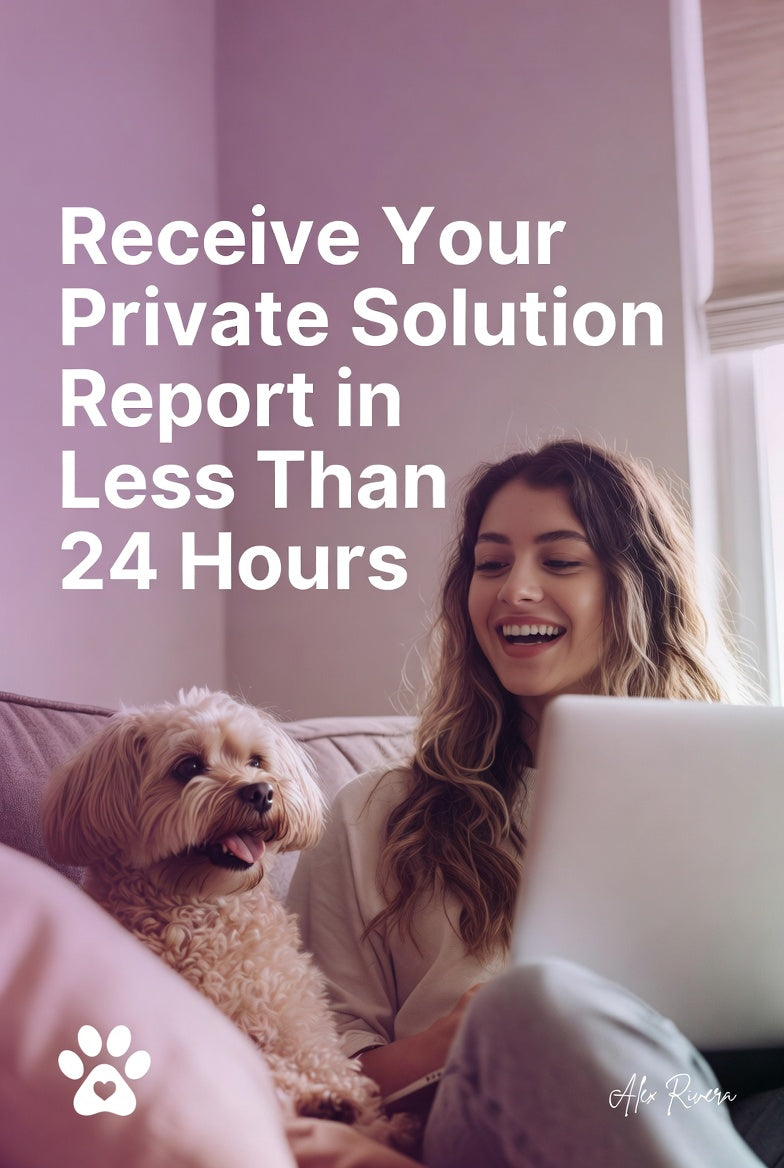 1-on-1 Dog Behavior Advice | Fix Issues Like Barking, Anxiety, or Potty Training