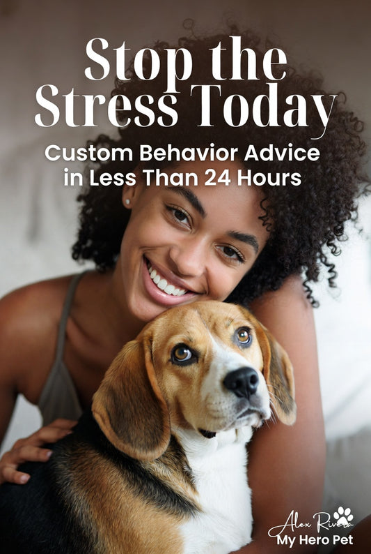 1-on-1 Dog Behavior Advice | Fix Issues Like Barking, Anxiety, or Potty Training