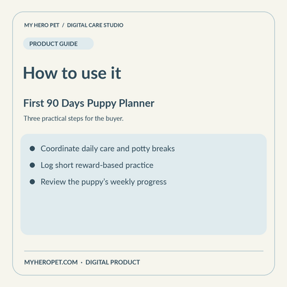 How to use The First 90 Days Puppy Planner: practical steps